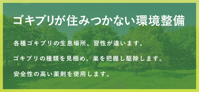 ゴキブリが住みつかない環境整備 各種ゴキブリの生息場所、習性が違います。ゴキブリの種類を見極め、巣を把握し駆除します。安全性の高い薬剤を使用します。