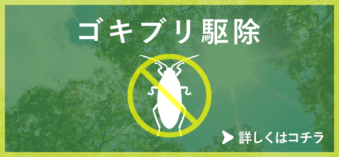 ゴキブリ駆除
