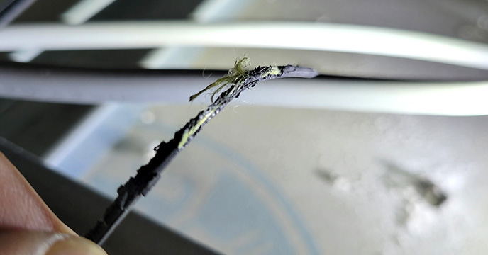 配線を齧った跡