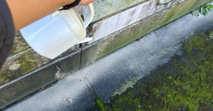 ムカデ、ヤスデ駆除粉剤散布